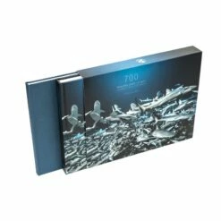 700 Requins Dans La Nuit Laurent BALESTA - Andromede -Sub-Odyssee Soldes Magasin andromede 700 requins dans la nuit laurent balesta pas cher sub odyssee 2