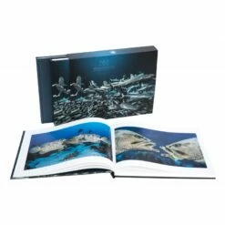 700 Requins Dans La Nuit Laurent BALESTA - Andromede -Sub-Odyssee Soldes Magasin andromede 700 requins dans la nuit laurent balesta pas cher sub odyssee 5