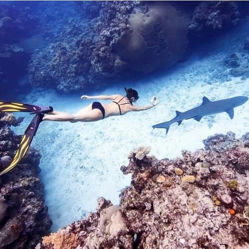 SEATOUCH 2 Pioneer 10m Caisson Pour IPHONE 6+ à XS Max - Divevolk 4 SEATOUCH 2 Pioneer 10m Caisson Pour IPHONE 6+ à XS Max - Divevolk – Image 2