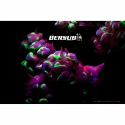 FLUORDIVE Filtre Jaune Pour Masque - Big Blue -Sub-Odyssee Soldes Magasin fluordive filtre jaune pour masque big blue 1