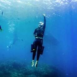 Booster Strap Kit Pour 2 Scooter S1 - Lefeet 9 Booster Strap Kit Pour 2 Scooter S1 - Lefeet -Sub-Odyssee Soldes Magasin lefeet booster strap kit pour 2 scooter s1 pas cher sub odyssee 3