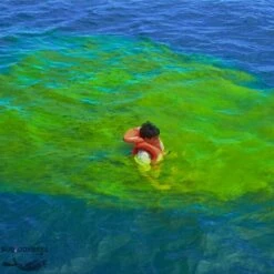 Sachet De Fluorescine 40g Dans Une Pochette étanche -Sub-Odyssee Soldes Magasin sachet fluorescine 40 g colorant fluorescent eau aquatys pas cher palanquee sub odyssee lyon 2