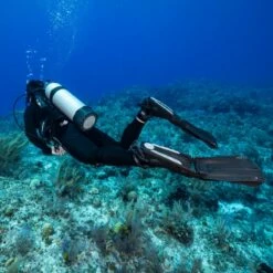 SEAWING SUPERNOVA Noire Palme Demontable - Scubapro -Sub-Odyssee Soldes Magasin seawing supernova noire palme demontable scubapro 6