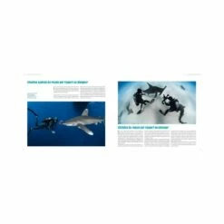 Requins, Guide De L’interaction - Turtle Prod -Sub-Odyssee Soldes Magasin turtleprod requins guide de linteraction pas cher sub odyssee lyon 3