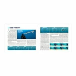 Requins, Guide De L’interaction - Turtle Prod -Sub-Odyssee Soldes Magasin turtleprod requins guide de linteraction pas cher sub odyssee lyon 5